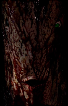The Creature {Possession}'s image