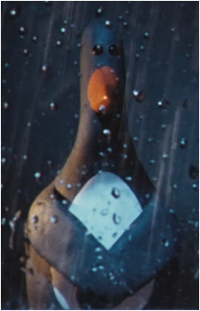 Image 4 Image 4