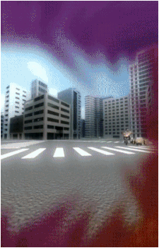 Image 10 Image 10