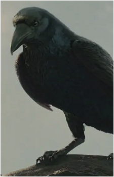 Maleficent's Pet