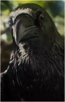 Maleficent's Pet