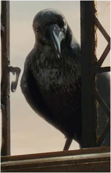 Maleficent's Pet