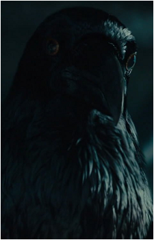 Maleficent's Pet
