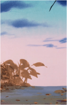 Image 14