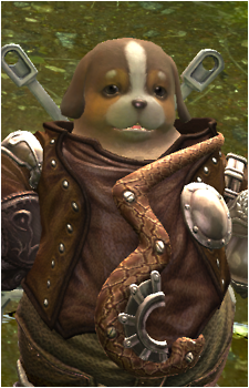Paesyn's image