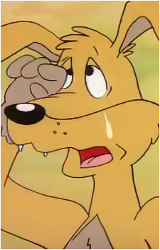 Shifty Dingo