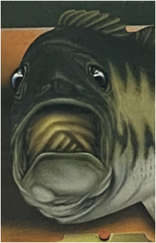 Big Mouth Billy Bass's image