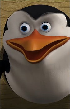 Skipper