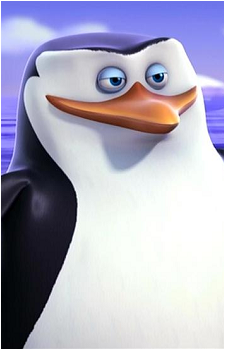 Skipper's image