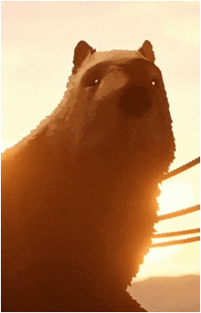 Capybara