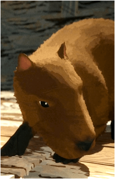 Capybara