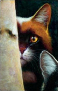 Dappled Pelt's image