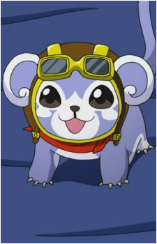 Pet's image