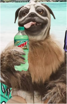 The Puppy-Monkey-Baby's image