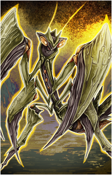 Grasschopper's image