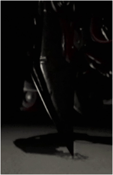 The Prototype {PP}