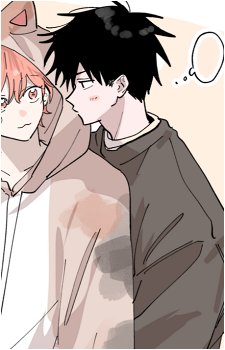 Image 22