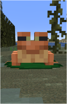 Frog's image
