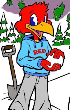 Red {RR}
