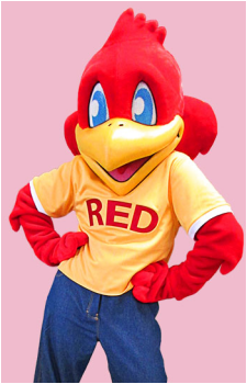 Red {RR}
