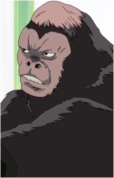 Gorilla {CHS}'s image