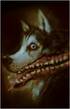 Smile Dog