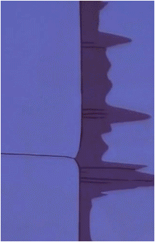 Image 236