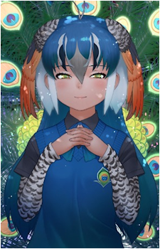 Indian Peafowl