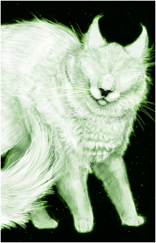 God Cat