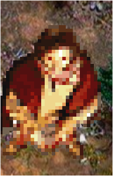 Waldensop's image
