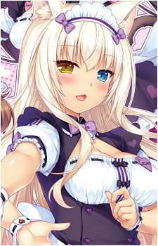 Image 27 of Coconut