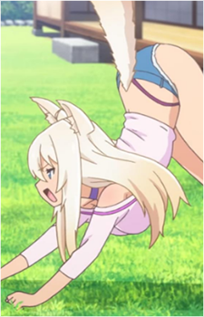 Image 15 of Coconut