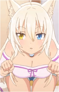 Image 31 of Coconut