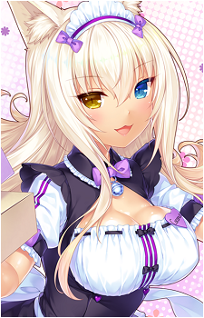 Image 9 of Coconut