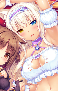 Image 4 of Coconut