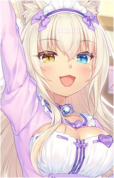 Image 23 of Coconut