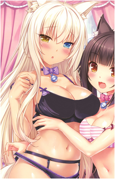 Image 30 of Coconut