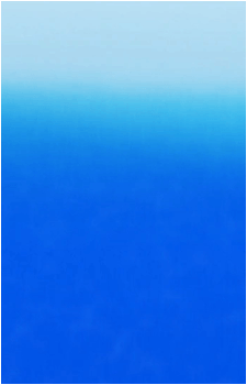 Whis