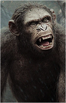 Grey {PotA}'s image