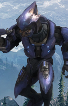 Elite