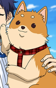 Daikichi
