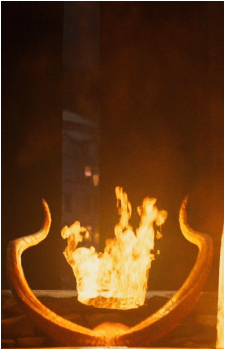 Image 40