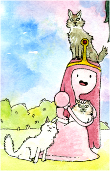 Image 37