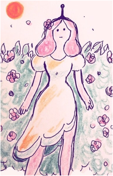 Image 27