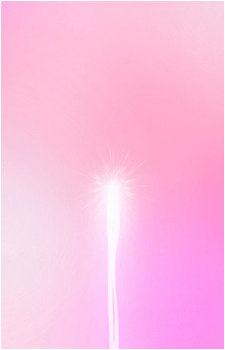Love Momozono