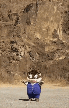 Image 32