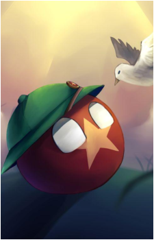 Vietnamball's image
