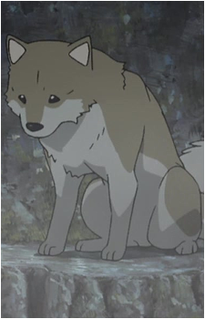 Image 4 Image 4