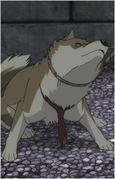 Image 7 Image 7