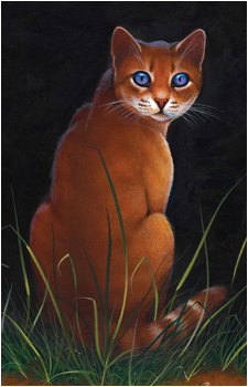 Heathertail's image